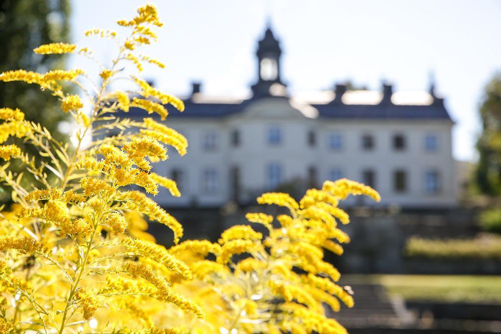 Kaggeholms Slott Bed and Breakfast Ekerö Exterior foto